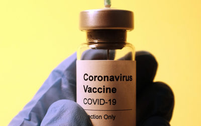 Report Covid-19. Il punto della pandemia: 30 gennaio 2021